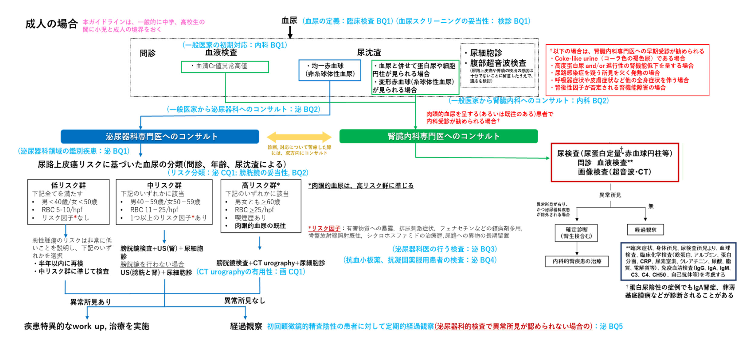 血尿・尿潜血の治療分類